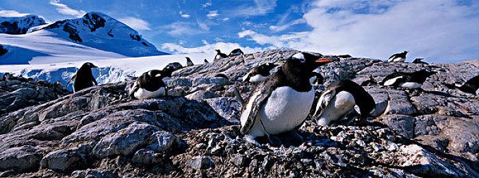 《真女神转生V》日更恶魔：夜魔“邪恶霜精”