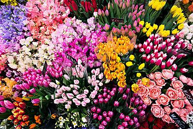 《命运扳机》国服PV首曝 7月25日定档测试